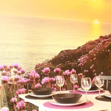 Nesha Sea Flowers 公寓 *