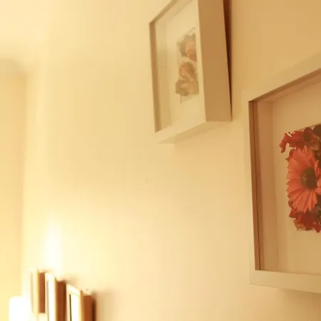Nesha Sea Flowers 公寓 卡帕里卡海岸